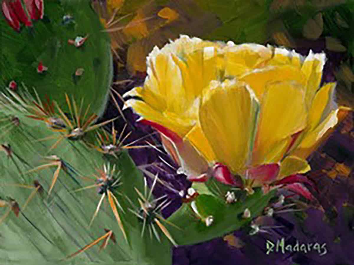 PRICKLY-PEAR-BLOOM-sm