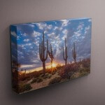 Print on Canvas