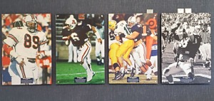 Metal Prints